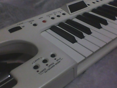 IMG0052A.jpg