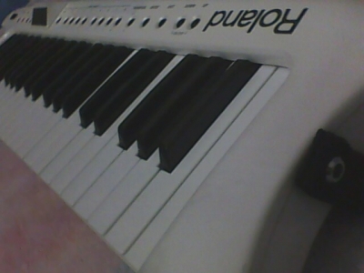 IMG0053A.jpg