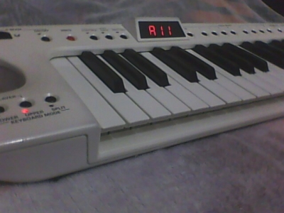 IMG0055A.jpg