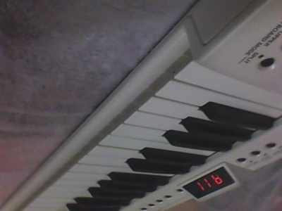 IMG0056A.jpg