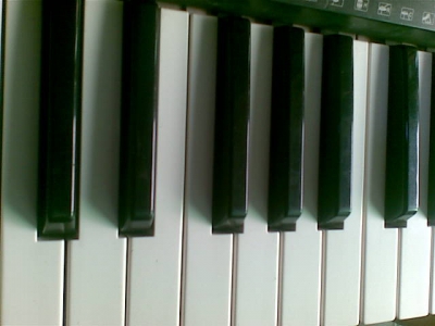 20091230(003).jpg