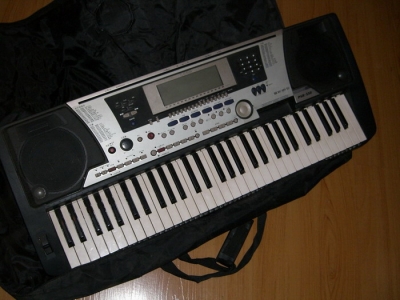 550.JPG