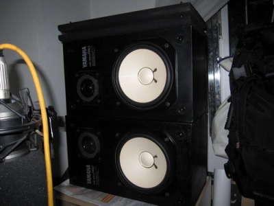 ns10pro.JPG