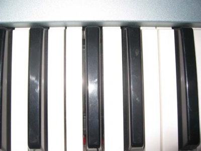 Motif XS.jpg