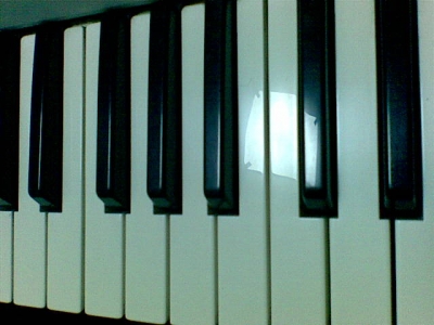 �ֻ��ĵĲ�̫���