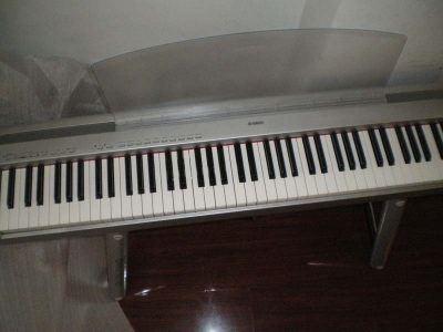 IMGP3184.JPG