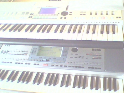 IMG0331A.jpg