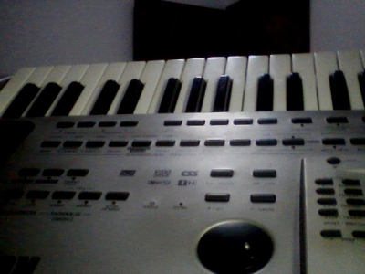 ͼƬ 013.jpg