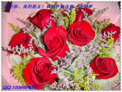 DSC02316.JPG
