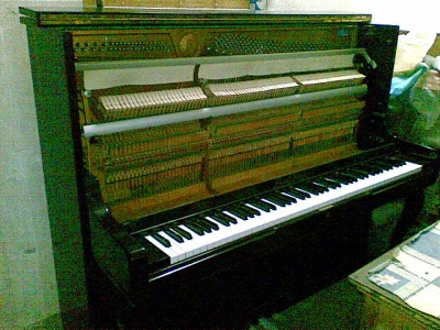 �𿪿��ڲ���