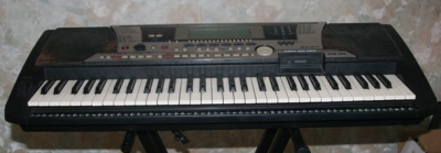 5504.jpg