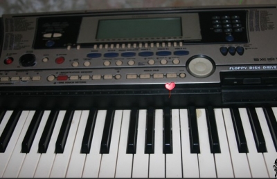 5506.jpg