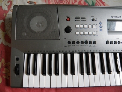 P1010003.JPG