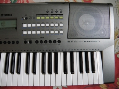 P1010004.JPG