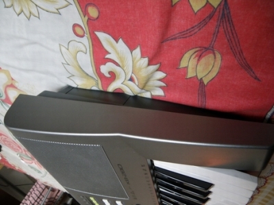 P1010005.JPG