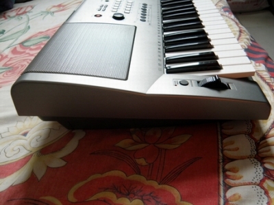 P1010006.JPG