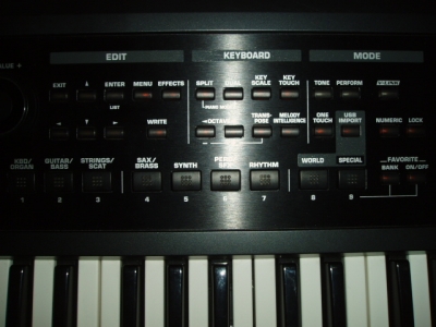 P1010187.JPG