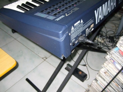 DSCF6484.JPG