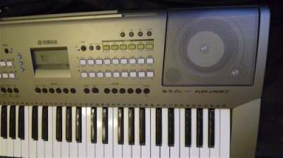 P1010136_.jpg