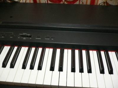 P1000883.jpg