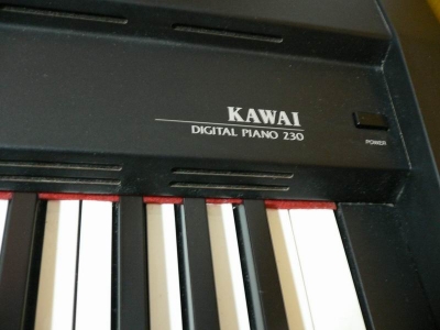 P1000885.jpg