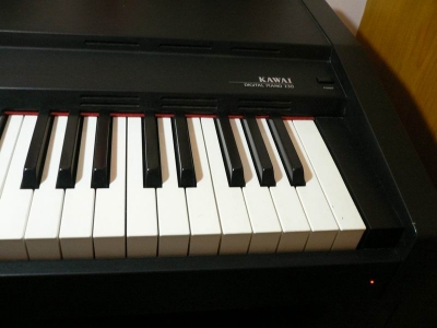 P1000886.jpg