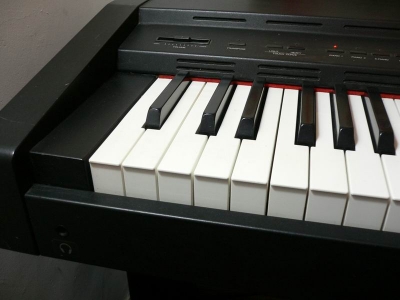 P1000887.jpg