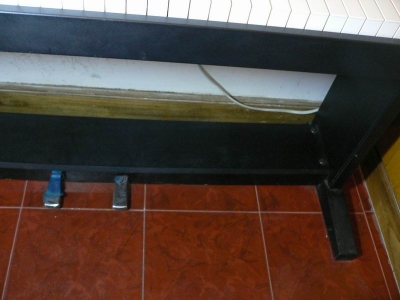 P1000889.jpg