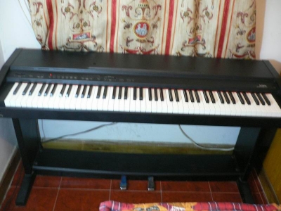 P1000890.jpg