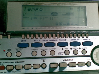 20100206_007.jpg