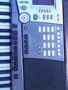 IMG0017A.jpg