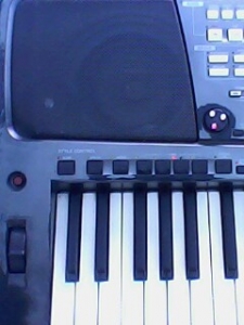IMG0020B.jpg