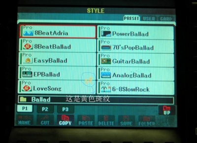 ������С DSCN0055a.jpg