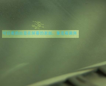 ������С DSCN0057a.jpg