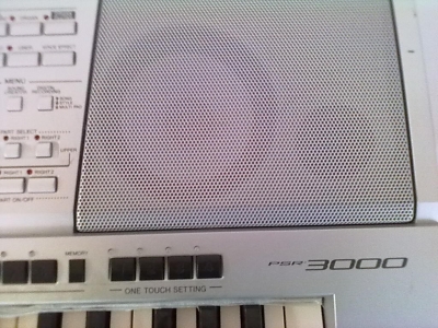 20100327130.jpg