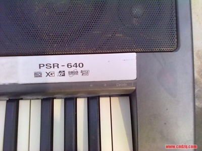 ޱ1.JPG
