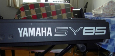 SY85D.jpg