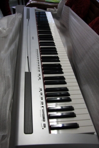 _MG_7683.jpg