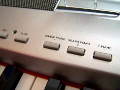 904_2972.jpg