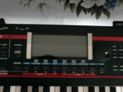 ������С SAM_0215.JPG