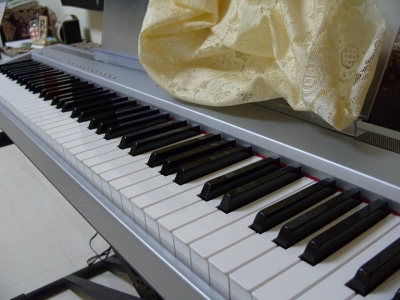 S1050628.JPG