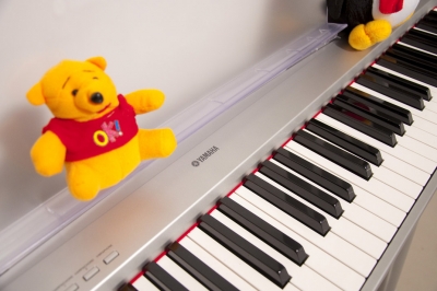 ���µ���������־