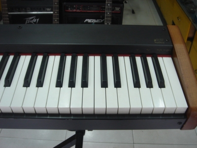 DSC05929.JPG