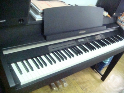 DSC06214.JPG