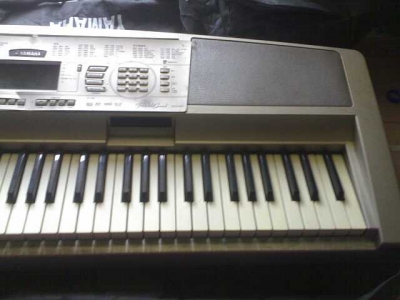 dgx300 2.jpg