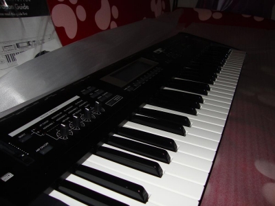 ����û��ָ��