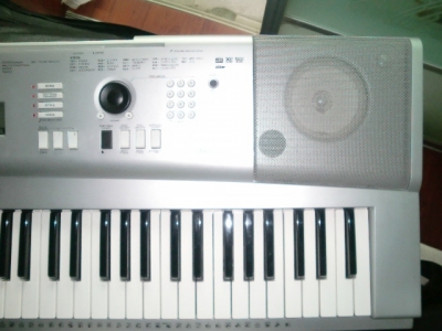 CIMG0547.JPG
