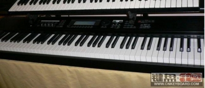 tr88.jpg