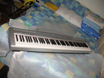 P85s 2.jpg
