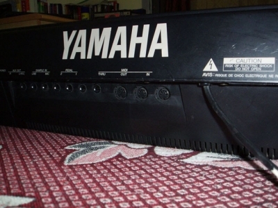02.jpg